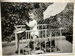 1. Spielzeug Hammer & Radkappe 1. Spielzeug Hammer & Radkappe